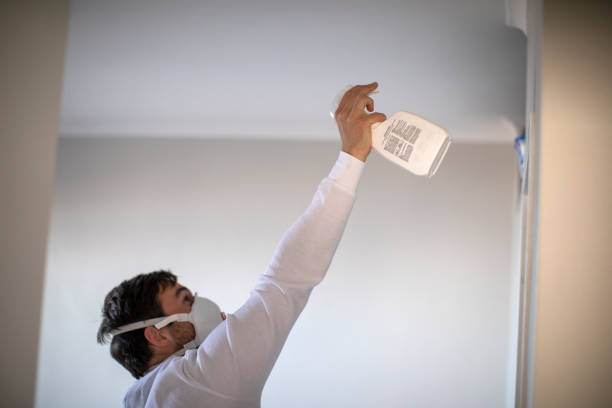 Best Crawl Space Mold Removal  in Gambier, OH
