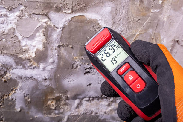 Best Black Mold Removal  in Gambier, OH