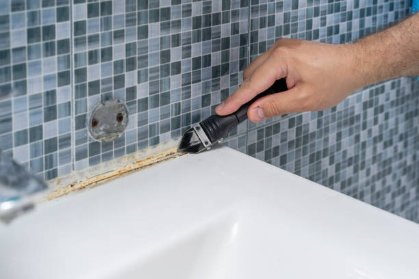 Best Same-Day Mold Removal  in Gambier, OH