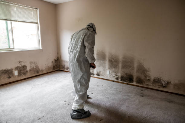 Best Mold Testing  in Gambier, OH